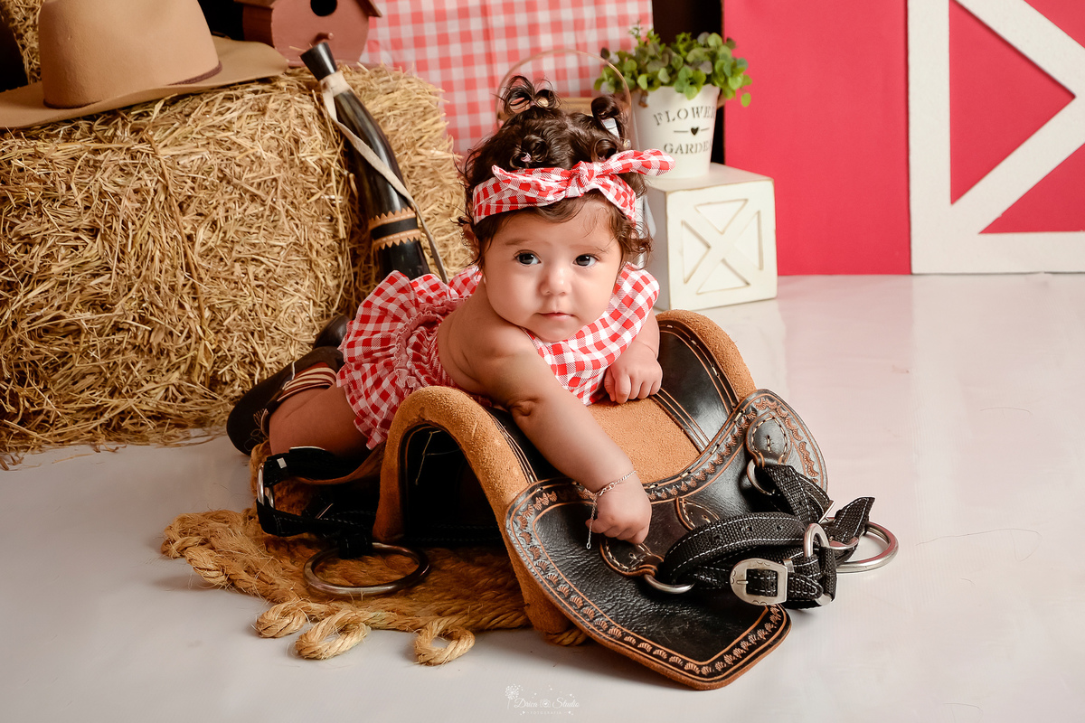 drica studio - acompanhamento mensal - cenário contruy - bota infantil - roupinhas xadrez - berrante - cavalinhos de madeiras - chapeu - 