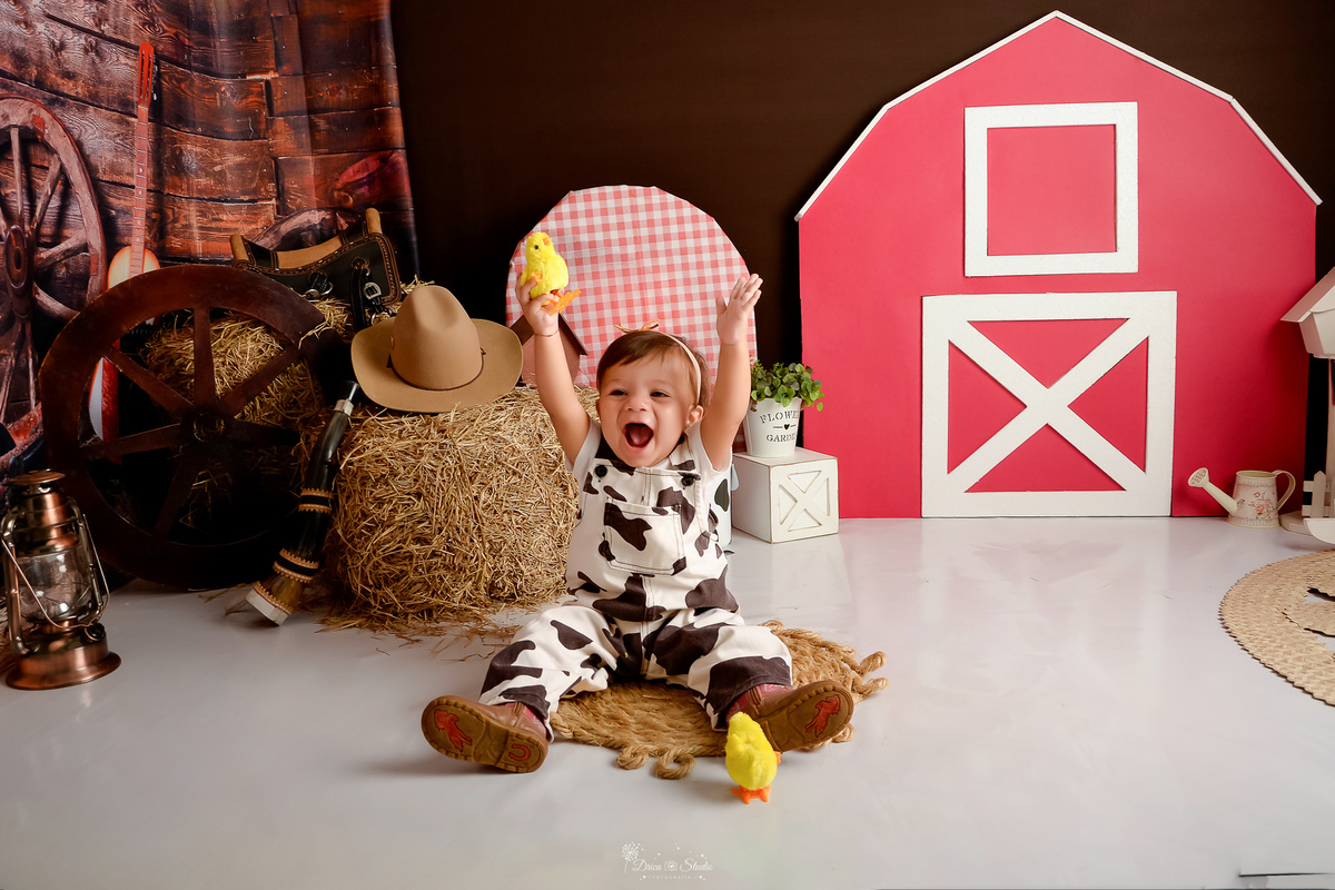 drica studio - acompanhamento mensal - cenário contruy - bota infantil - roupinhas xadrez - berrante - cavalinhos de madeiras - chapeu - 