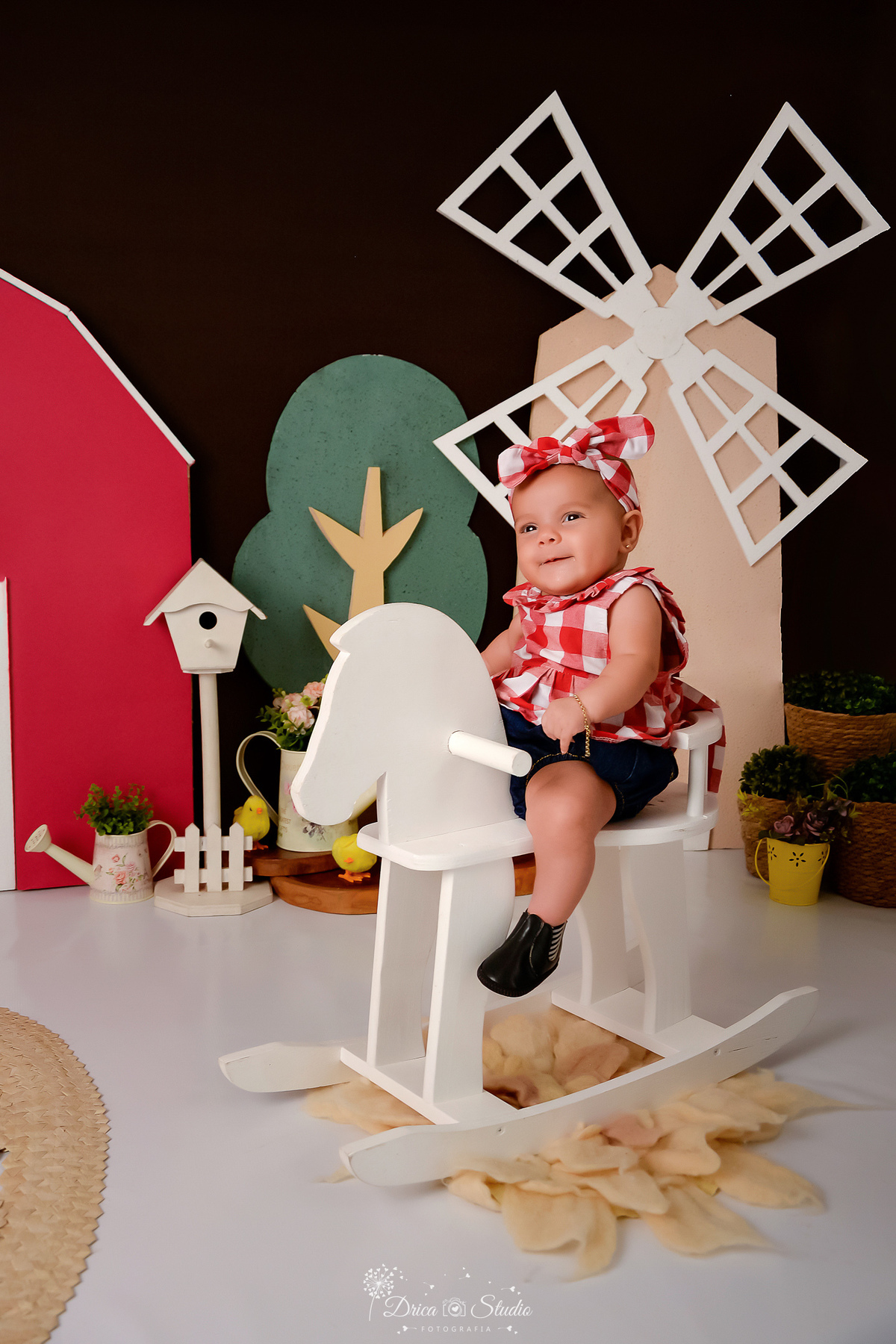 drica studio - acompanhamento mensal - cenário contruy - bota infantil - roupinhas xadrez - berrante - cavalinhos de madeiras - chapeu - 