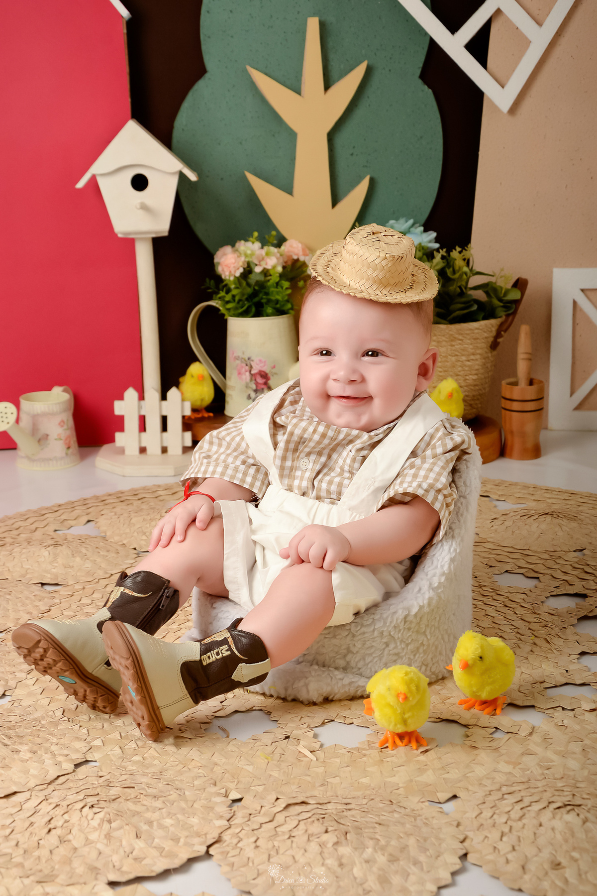 drica studio - acompanhamento mensal - cenário contruy - bota infantil - roupinhas xadrez - berrante - cavalinhos de madeiras - chapeu - 