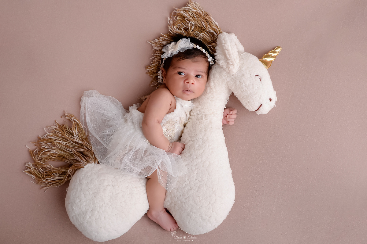 m nascida - ensaio newborn - ensaio famila - 18 dias de vida - babygril - drica studio - xinguara - pará - bebê sobre um mini unicornio - usando vestido branco com tule - com laço rosa - 