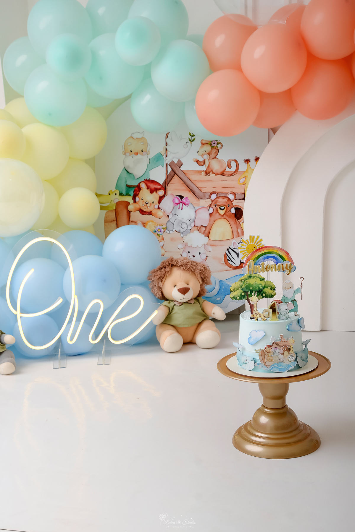 Drica studio - ensaio infantil - ensaio de 1 ano - smash the cake - arca de noé - acompanhamneto mensal - foto do bolo e do cenário de arca de noé - one de led 