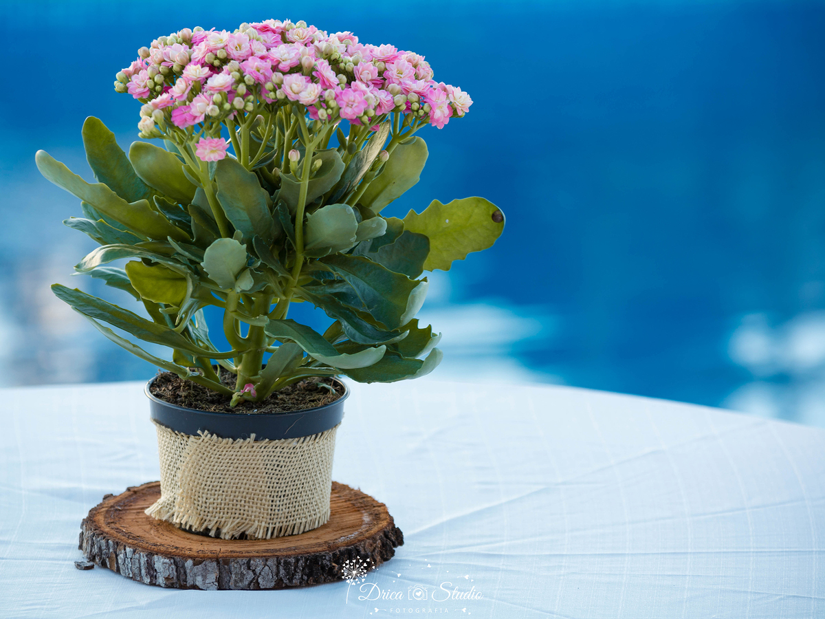 Decoração de casamento- topo de mesa- casamento em Xinguara- fotografo de casamento- Drica Studio Fotografia- arranjo de mesa para casamento- piscina ao fundo-Quiroz