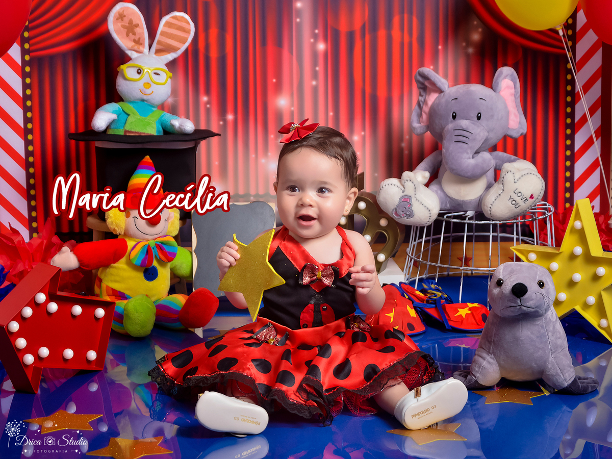 Ensaio infantil- Cenário Circo- Mês das Crianças- Fotografa de família-Fotografa em Xinguara- acompanhamento- Dia das Crianças-Drica Studio-Pará- circo- Mágico- linda- book, newborn, fotografo, fotografa, palhaço, evento, aniversario, infantil,