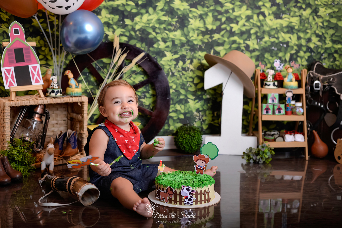 Fazendinha - Cenário - smash de cake - Fotografia - fotos de 1 ano - Cenário para aniversario - fazenda - bolo - bagunça - Xinguara - Pará - Drica Studio - bebê - country - bebê sorrindo