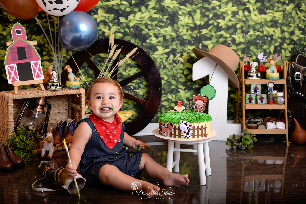 Fazendinha - Cenário - smash de cake - Fotografia - fotos de 1 ano - Cenário para aniversario - fazenda - bolo - bagunça - Xinguara - Pará - Drica Studio - bebê - country - felicidade