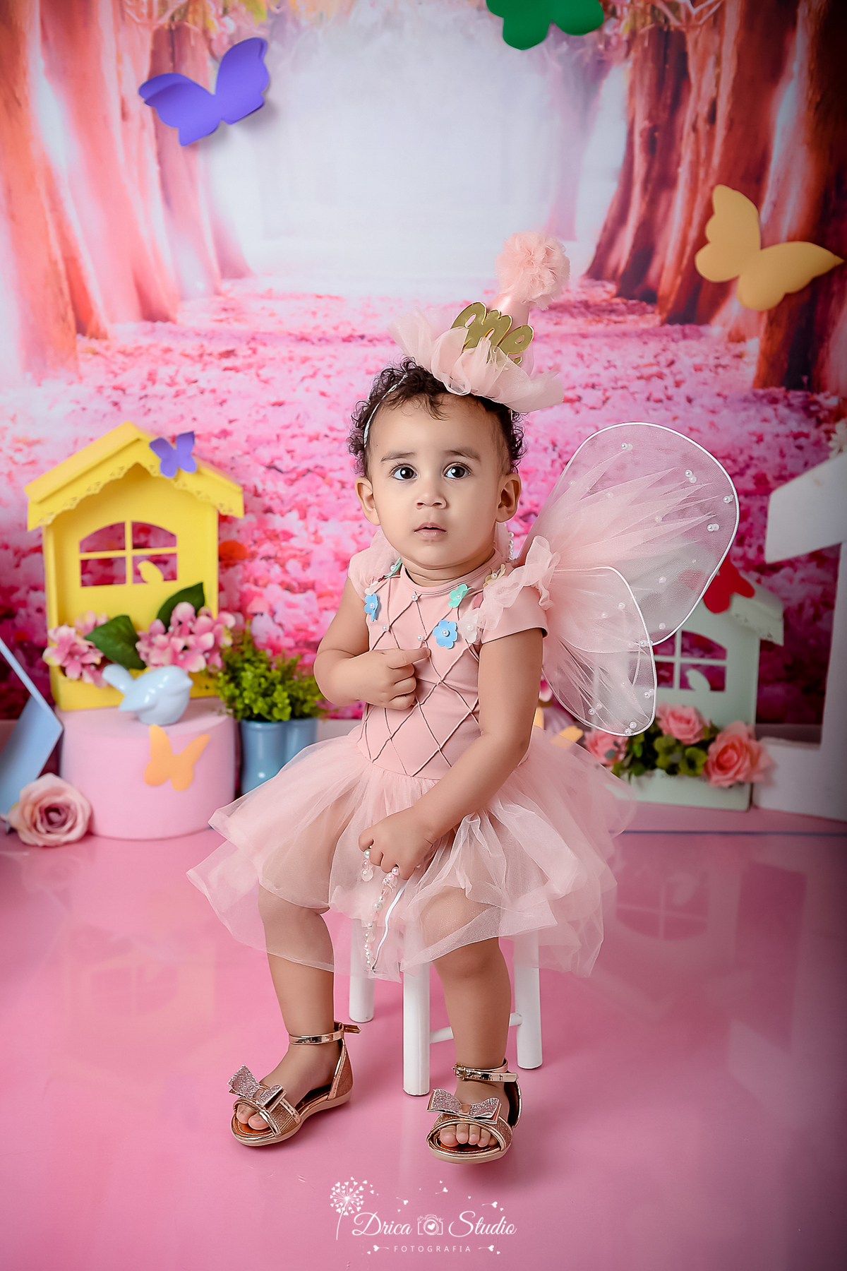 smash de cake - jardim encantado - fotos em cenário infantil - fotos em estúdio - meu mundo rosa - fotos 1 ano - tema de aniversario - fotos infantis - menina - cenário de borboleta - Drica stúdio - Xinguara - Pará