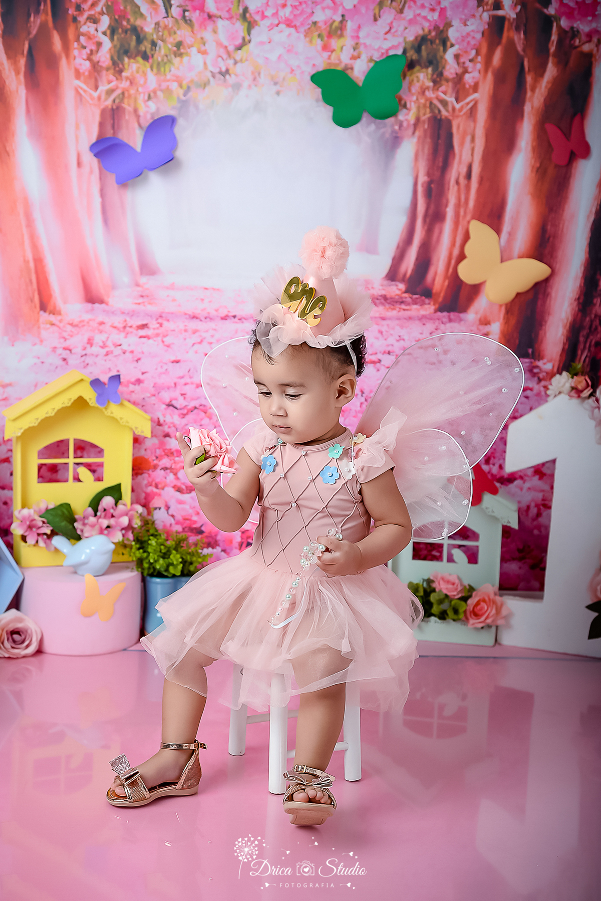 smash de cake - jardim encantado - fotos em cenário infantil - fotos em estúdio - meu mundo rosa - fotos 1 ano - tema de aniversario - fotos infantis - menina - cenário de borboleta - Drica stúdio - Xinguara - Pará