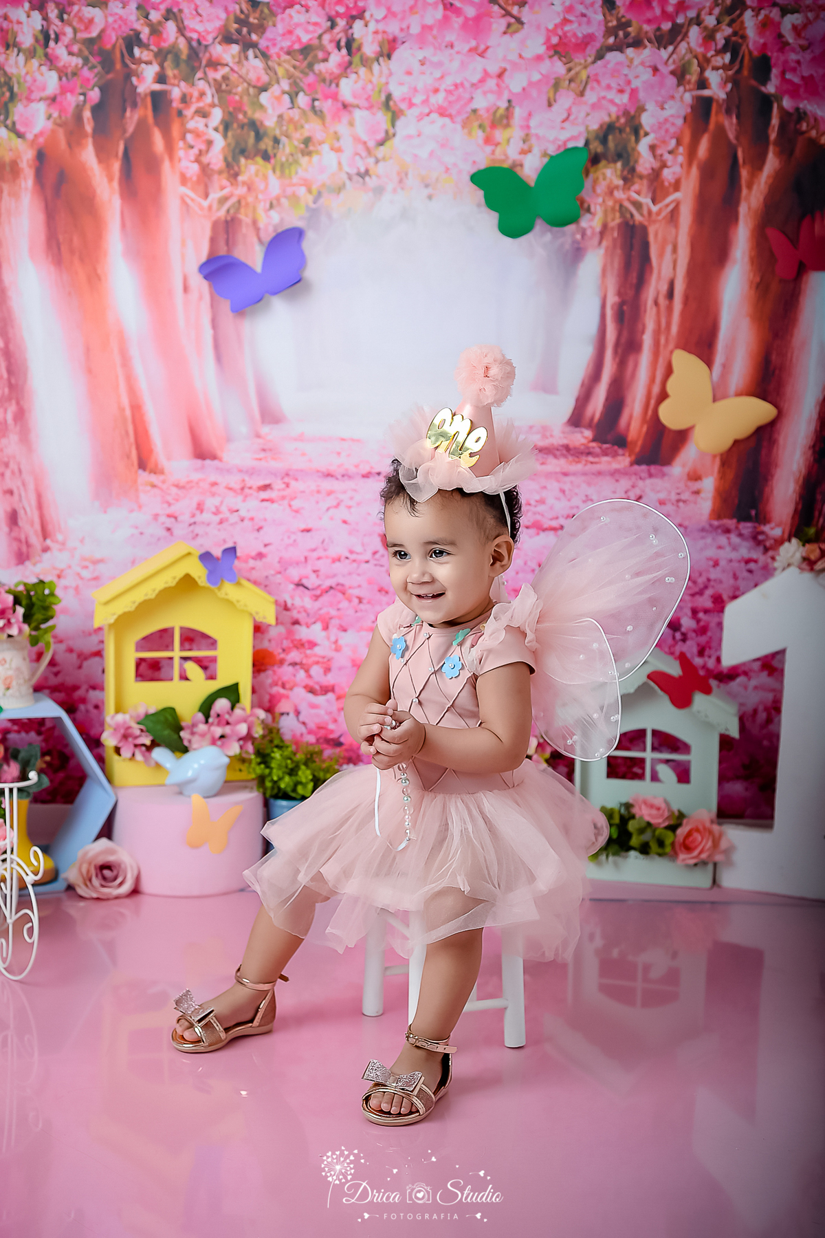 smash de cake - jardim encantado - fotos em cenário infantil - fotos em estúdio - meu mundo rosa - fotos 1 ano - tema de aniversario - fotos infantis - menina - cenário de borboleta - Drica stúdio - Xinguara - Pará