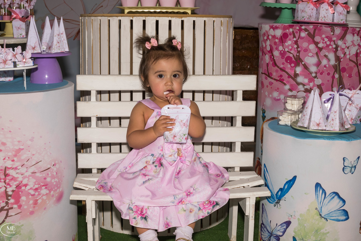 Aniversário de 1 ano - Liz