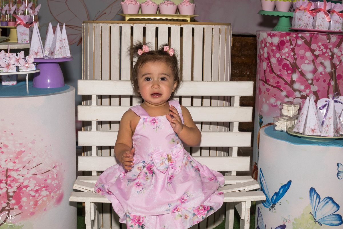 Aniversário de 1 ano - Liz