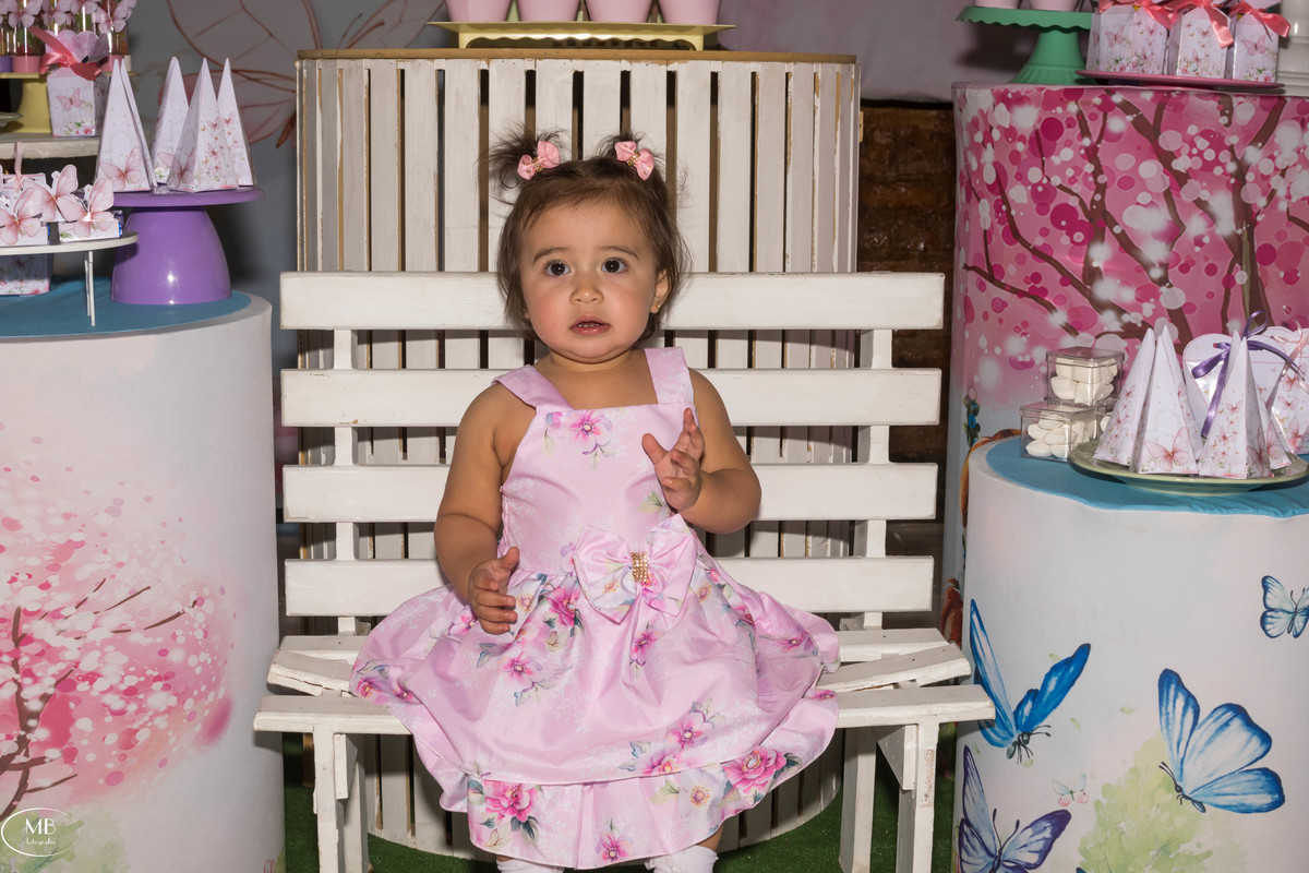 Aniversário de 1 ano - Liz