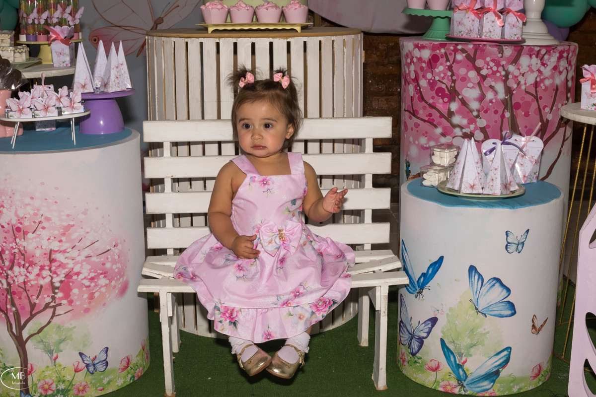 Aniversário de 1 ano - Liz