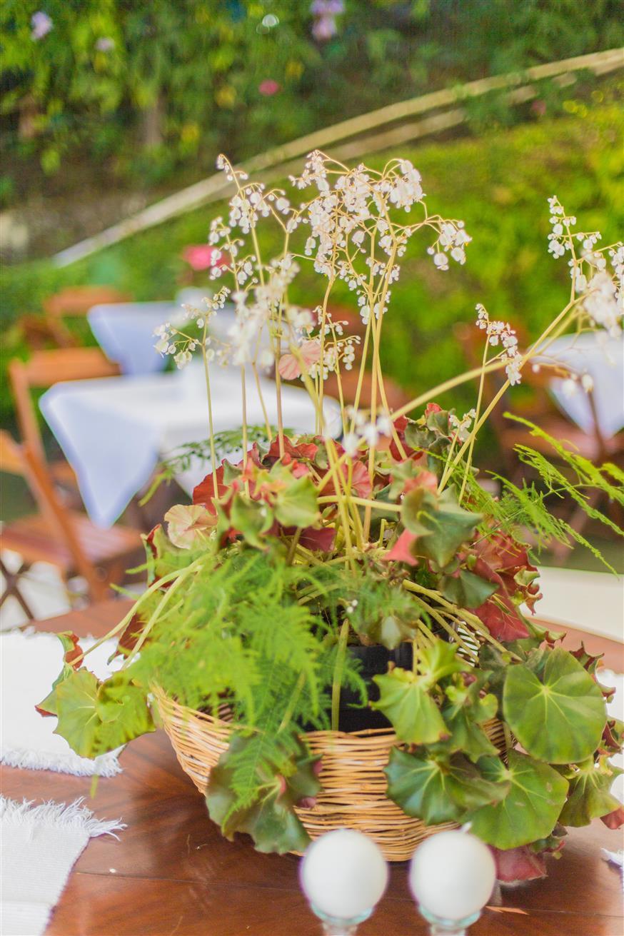 aniversário-amigos-reunião-celebração-fotos-fotografia-thiago-nogueira-fotograia-mauricio-borges-fotografia-petropolis-rj