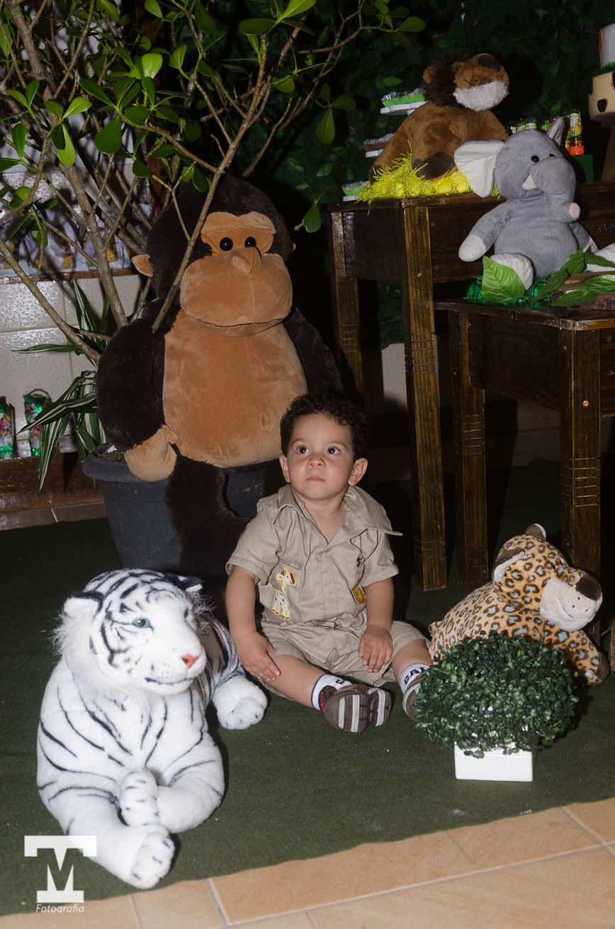 Ensaio infantil - festa de criança - aniversário de criança -  Petrópolis - RJ - Thiago Nogueira Fotografia - Mauricio Borges Fotografia 