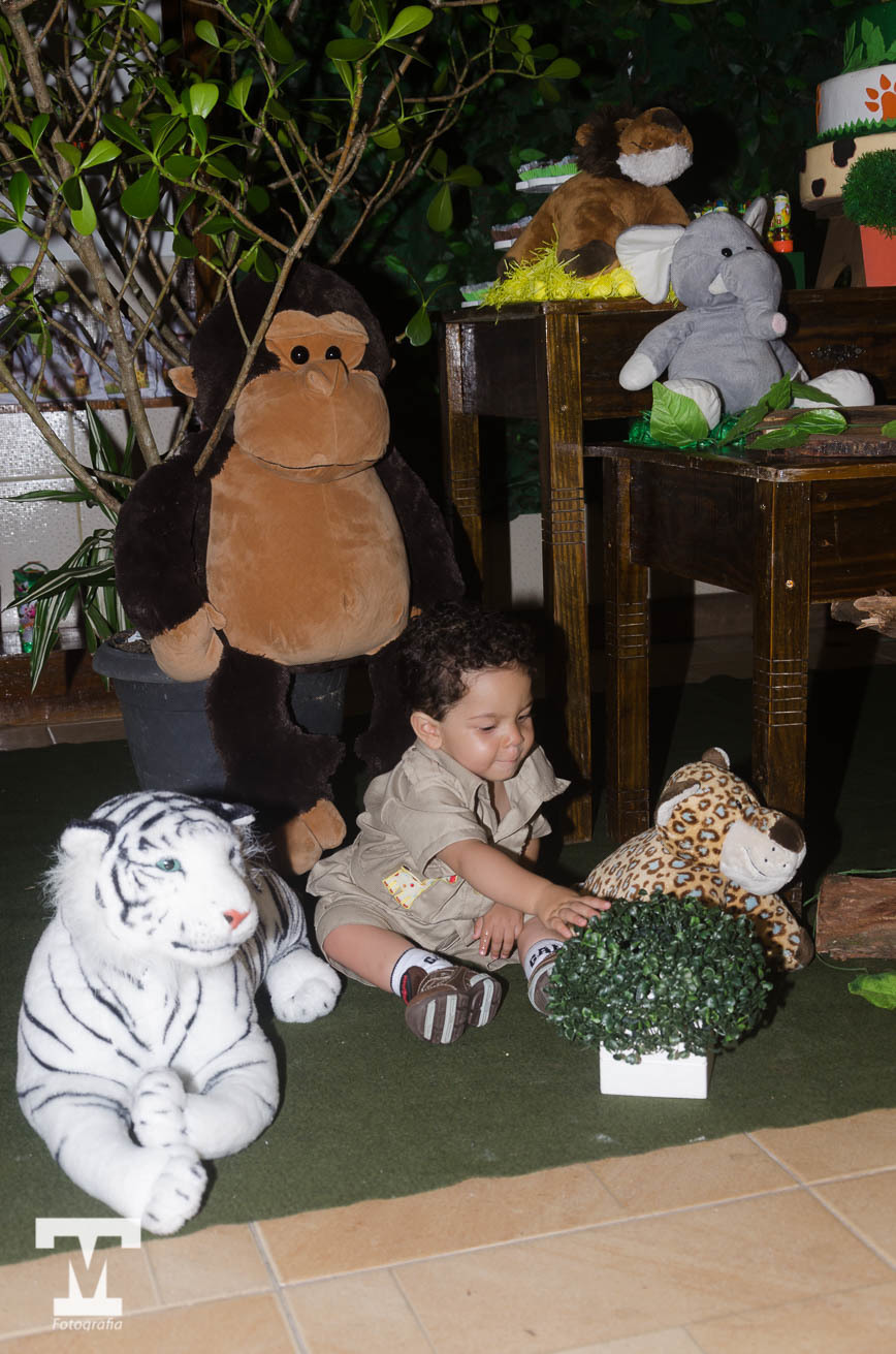 Ensaio infantil - festa de criança - aniversário de criança -  Petrópolis - RJ - Thiago Nogueira Fotografia - Mauricio Borges Fotografia 