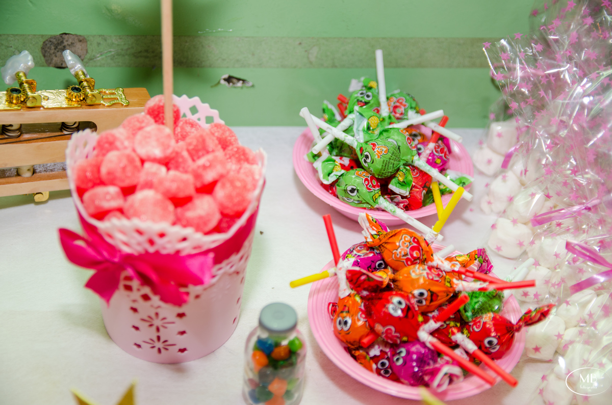 15 anos-festa-Petrópolis-RJ-Errejota-Ensaio 15 anos-casa de festas- aniversário-festa de menina-debutante-