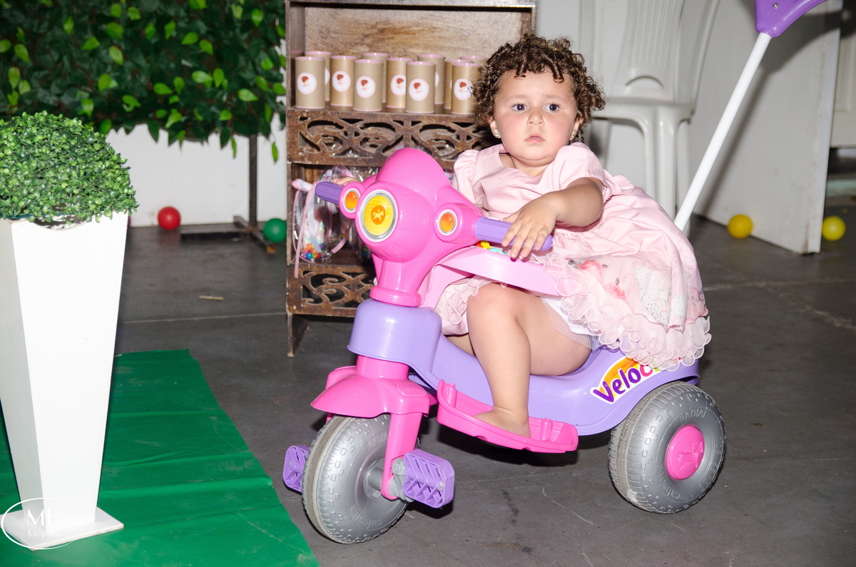 mauricioborgesfotografia-festainfantil-aniversariodecriança-fotosempetropolis-petropolis-rj-itaipava-aniversariodemenina-
photographerforrent-ensaiosemgeral-