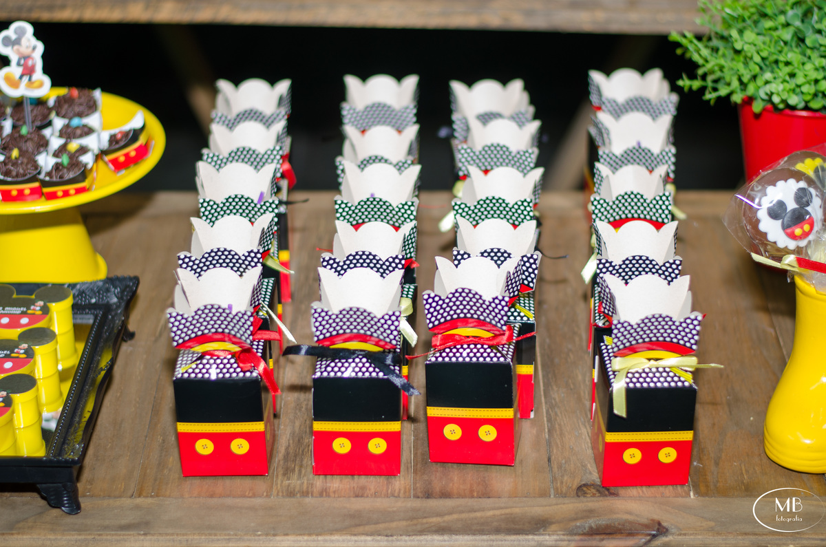 #festainfantil #aniversáriodecriança #aniversáriodeumano #petropolisrj #clubepalmeirapetropolis #festademenino #mauricioborgesfotografia #cidadeimperial