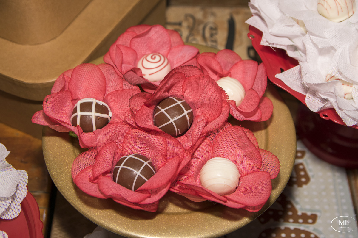 fotografiadecasamento-casorionaserraq-cidadeimperial-casandonosjardins-photografy-photographerforrent-fotografiadeeventos