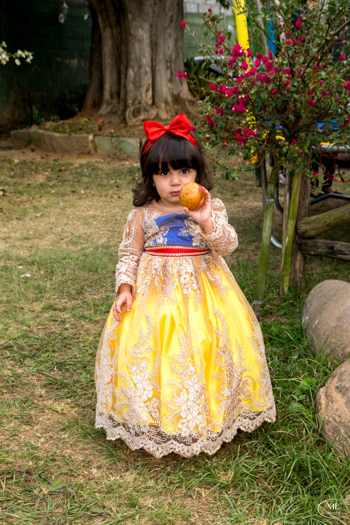 #mauricioborgesfotografia #casaraoeventospetropolis #festainfantil #festademenina #brancadeneve #itaipava #petropolisrj #photography #fotografiadecrianca #festainfantil #fotos 