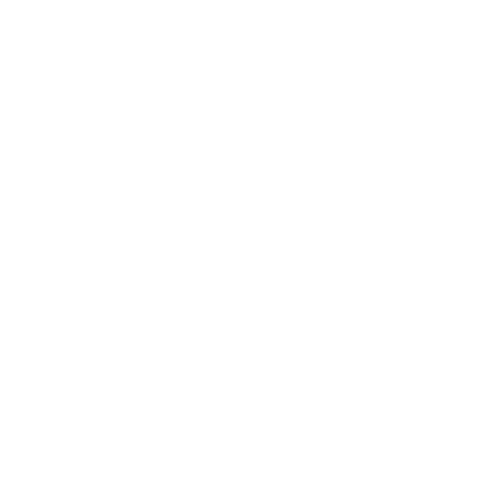 Logotipo de Zuleica Lutz