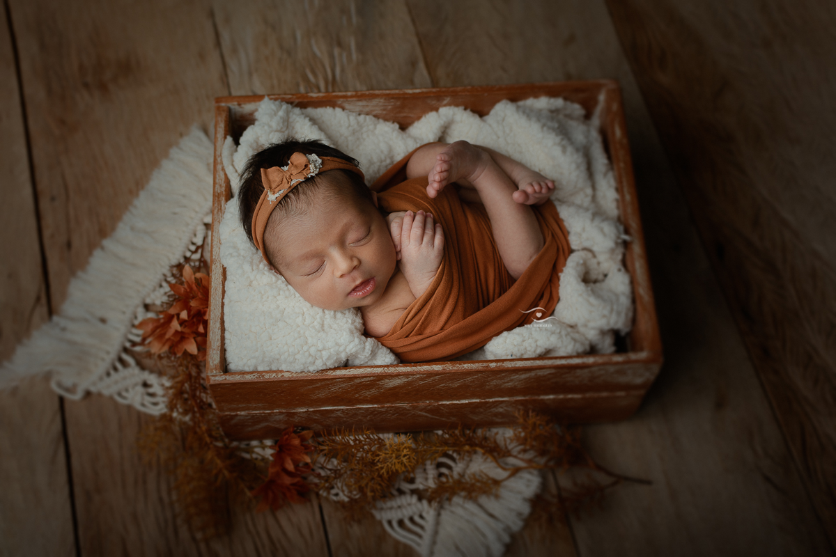 kika, rodrigues, newborn, guarulhos, recemnascido, baby, fotografo, estudio, fotografia, ensaionewborn, azul, rosa, boho, classico, chique, rustico, elegante, 