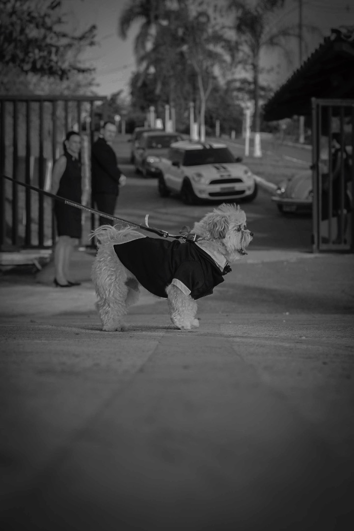 fotografo de casamento em varginha, fotografo de casamento de minas, casamento, noivas, noivos , fotografia para casamento, fotografia de casamento, fotografos, bride, wedding, casamento no lagamar, casamento em varginha, casamento em minas gerais, casais