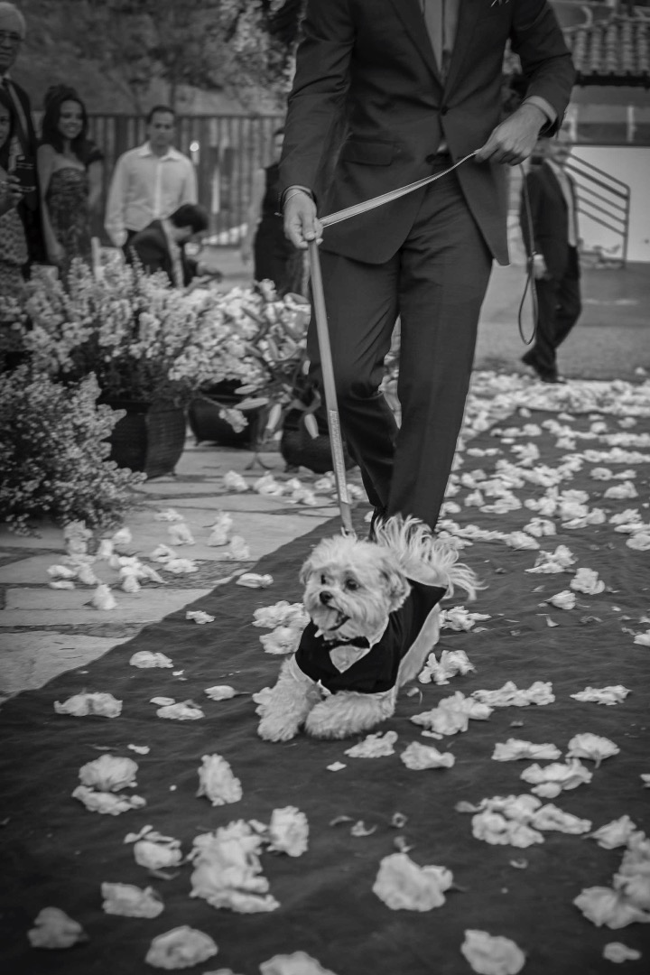 fotografo de casamento em varginha, fotografo de casamento de minas, casamento, noivas, noivos , fotografia para casamento, fotografia de casamento, fotografos, bride, wedding, casamento no lagamar, casamento em varginha, casamento em minas gerais, casais