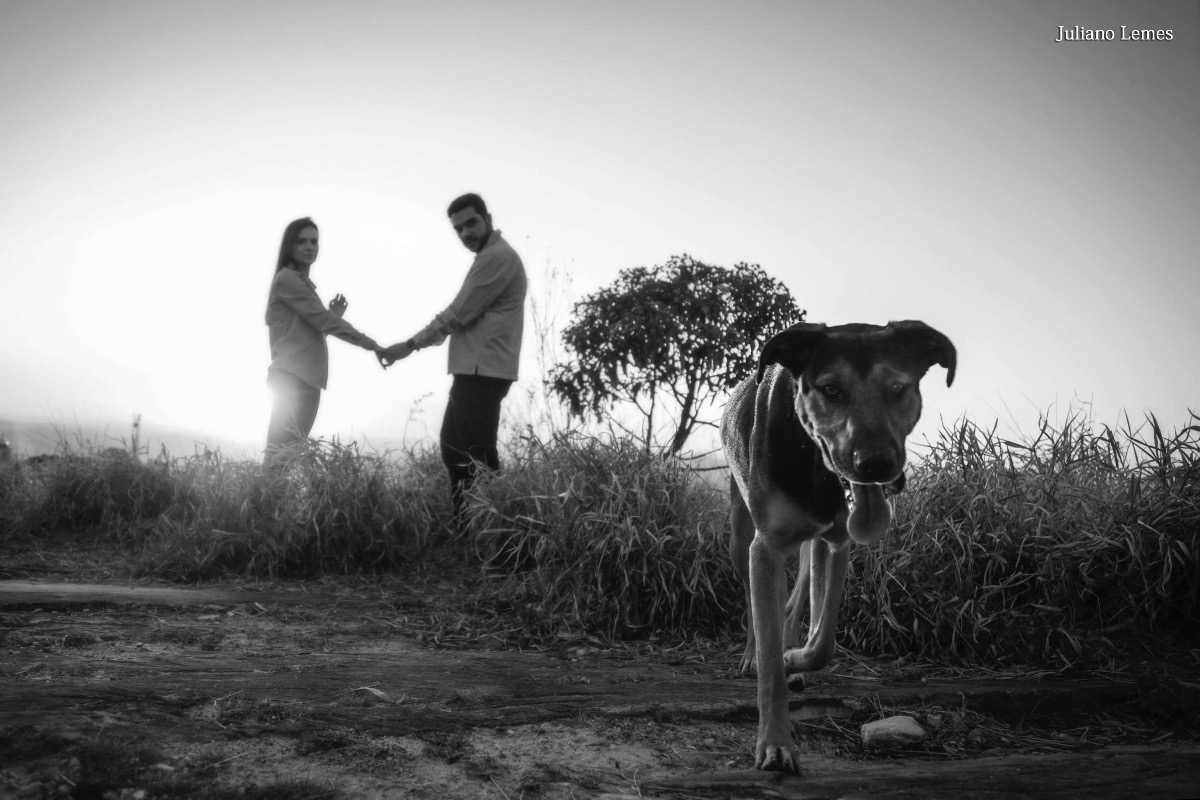 fotografo de casamento, fotografo de casamento de minas gerais, fotografo de varginha, casamento em varginha, fotos de casamento em varginha, fotos criativas, ensaio de fotos, juliano lemes, fotografia, noivas, blog de noivas, fotos de casamento por julia