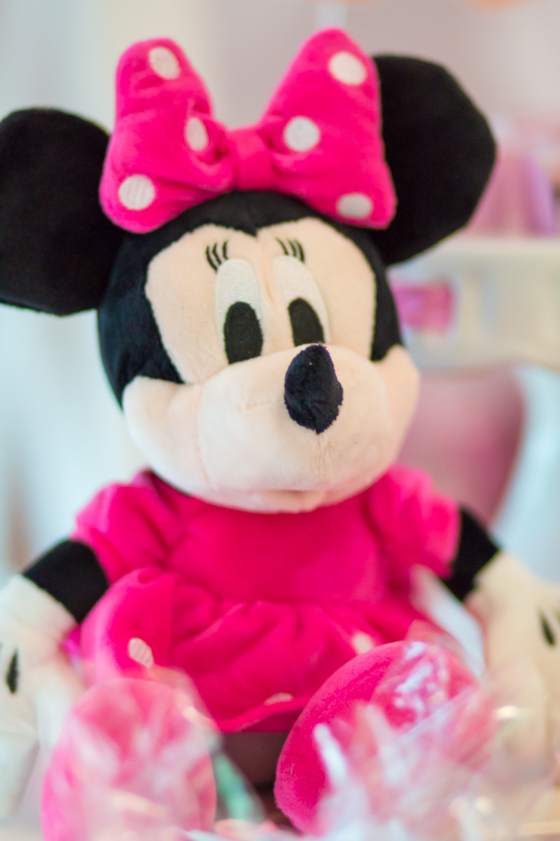 Decoração tema MINNIE nas cores ROSA e BRANCO no click do FOTÓGRAFO de FESTA INFANTIL em SÃO PAULO, SP em uma imagem colorida