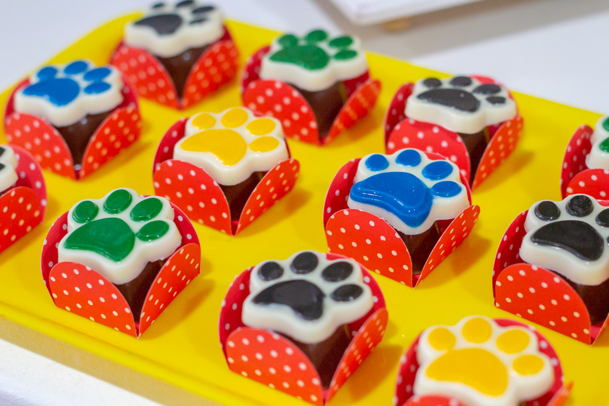 Decoração tema PATRULHA CANINA no click do FOTÓGRAFO de FESTA INFANTIL em SÃO PAULO, SP em uma imagem colorida
