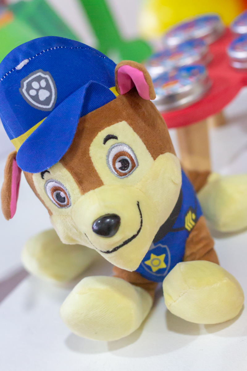 Decoração tema PATRULHA CANINA no click do FOTÓGRAFO de FESTA INFANTIL em SÃO PAULO, SP em uma imagem colorida