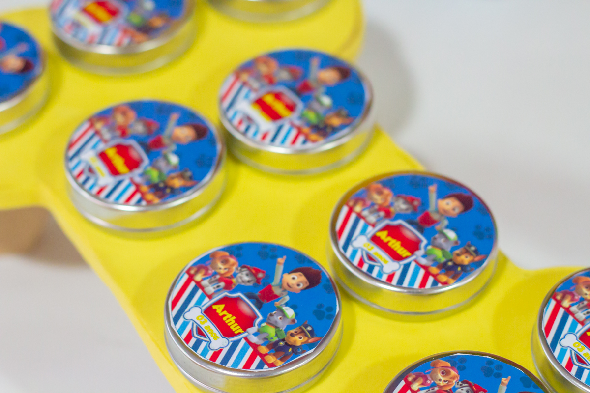 Decoração tema PATRULHA CANINA no click do FOTÓGRAFO de FESTA INFANTIL em SÃO PAULO, SP em uma imagem colorida