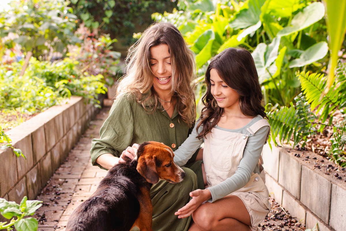 sessão divertida com o cachorro