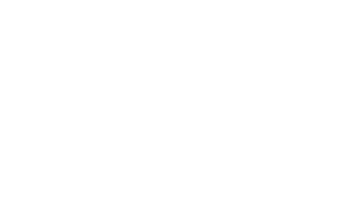 Logotipo de Bruno Parronchi