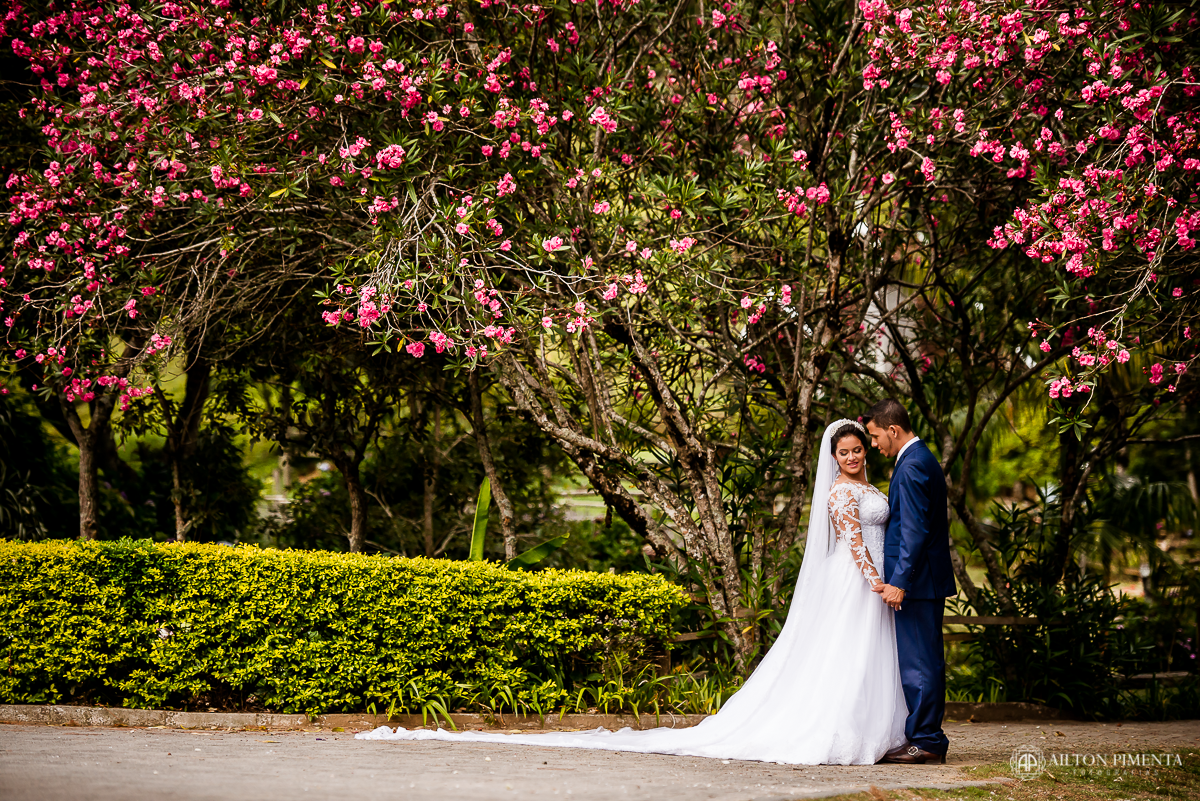 fotografia na cerejeira