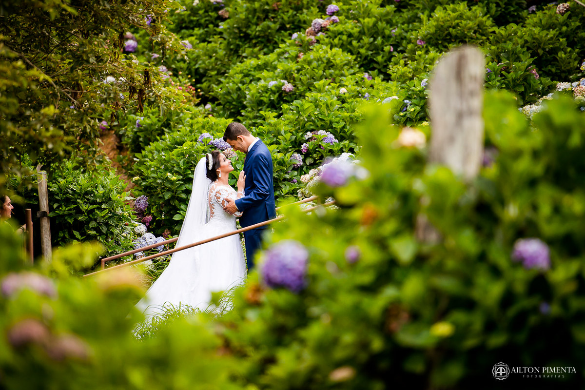fotografia com hortencias