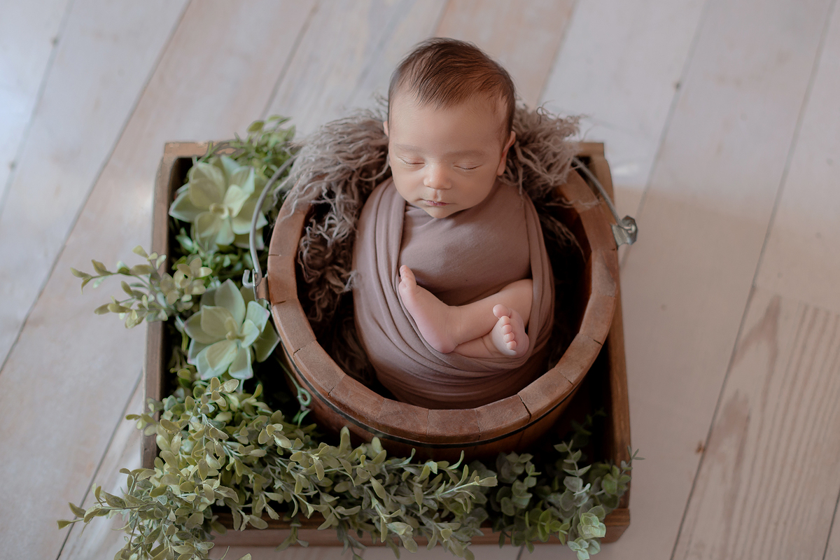 Ensaio Newborn em casa Ensaio do recem nascido Gabriel enroladinho em baldinho e caixinha com folhas e suculentas