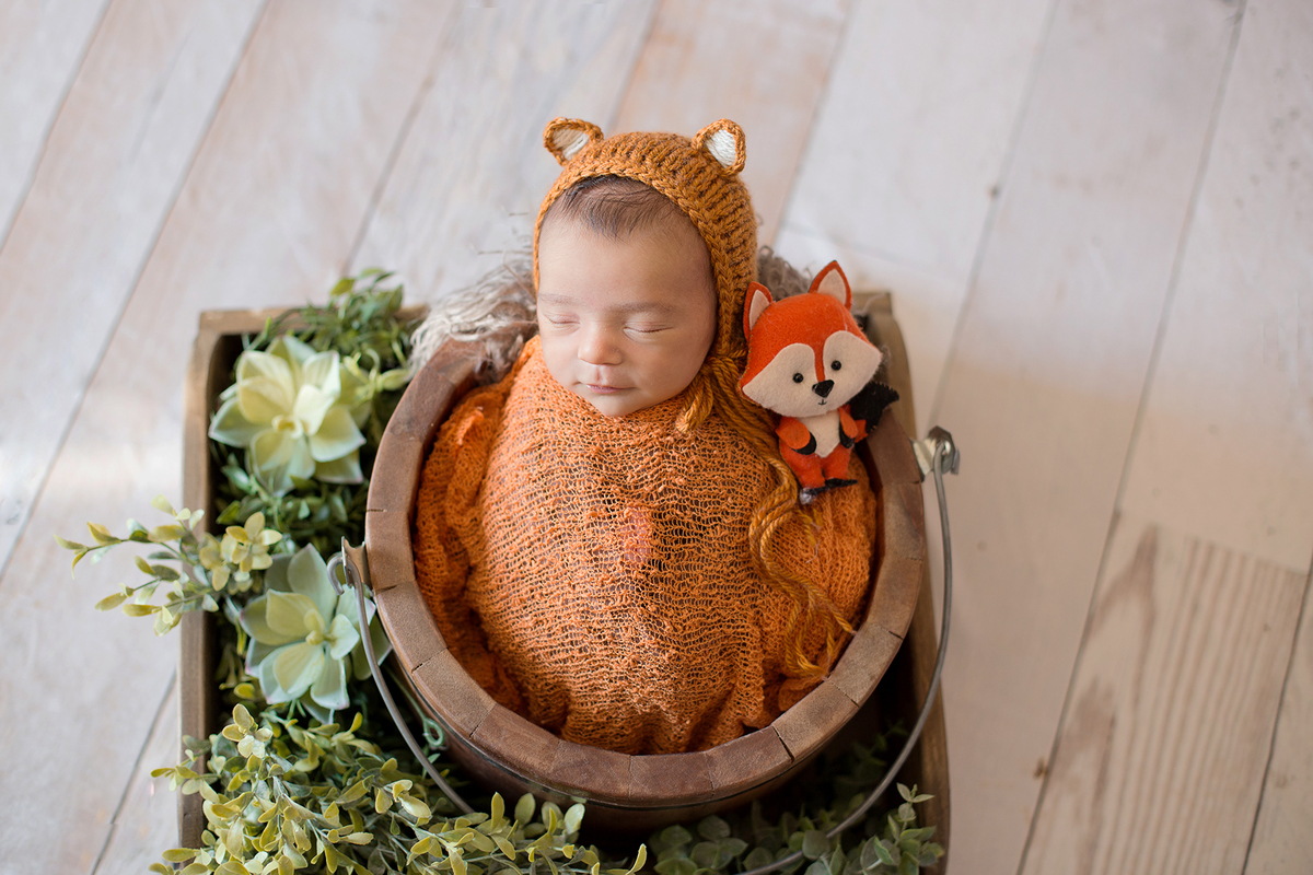 Ensaio newborn em casa bebê enroladinho de raposa composição laranja e verde touca de raposa e bichinho de raposa em baldinho barriguinha para cima com folhas e suculentas na composição