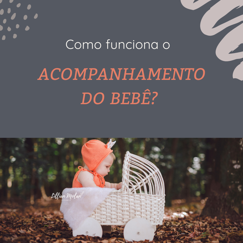 Imagem capa - COMO FUNCIONA O ACOMPANHAMENTO DO BEBÊ? por Lillian Freneda Molan