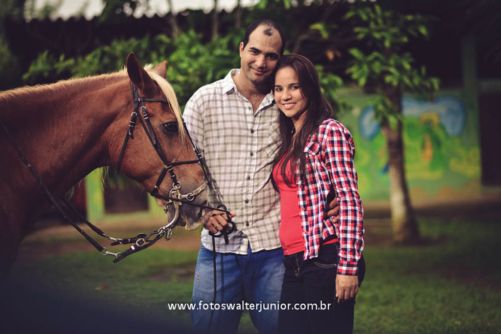 noivo segurando cavalo