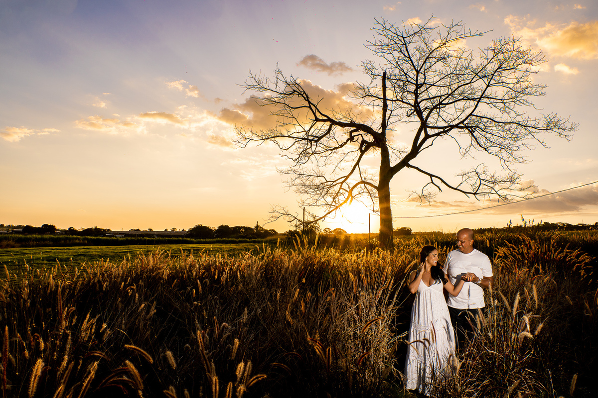 Ensaio Fotográfico em Holambra
