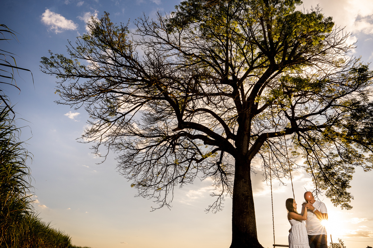 Ensaio Fotográfico em Holambra