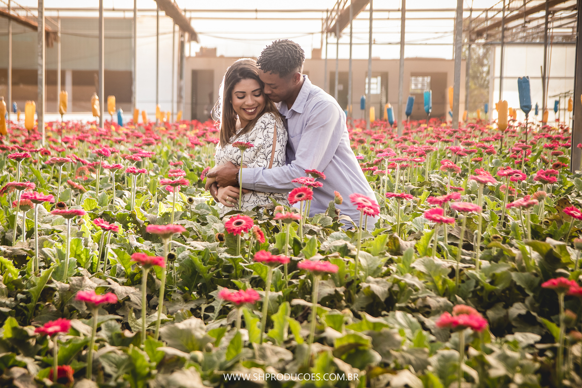 ENSAIO PRÉ WEDDING EM HOLAMBRA