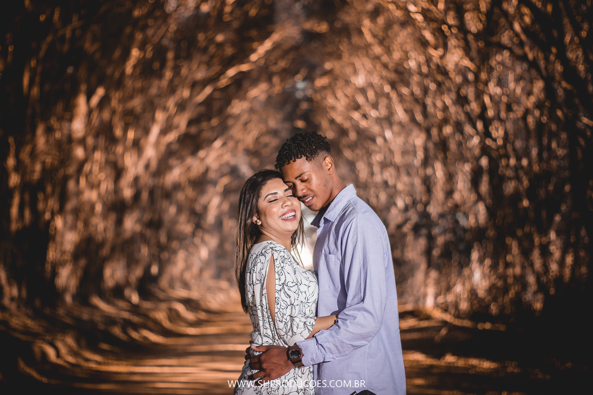 LUGARES PARA FOTOGRAFAR EM HOLAMBRA