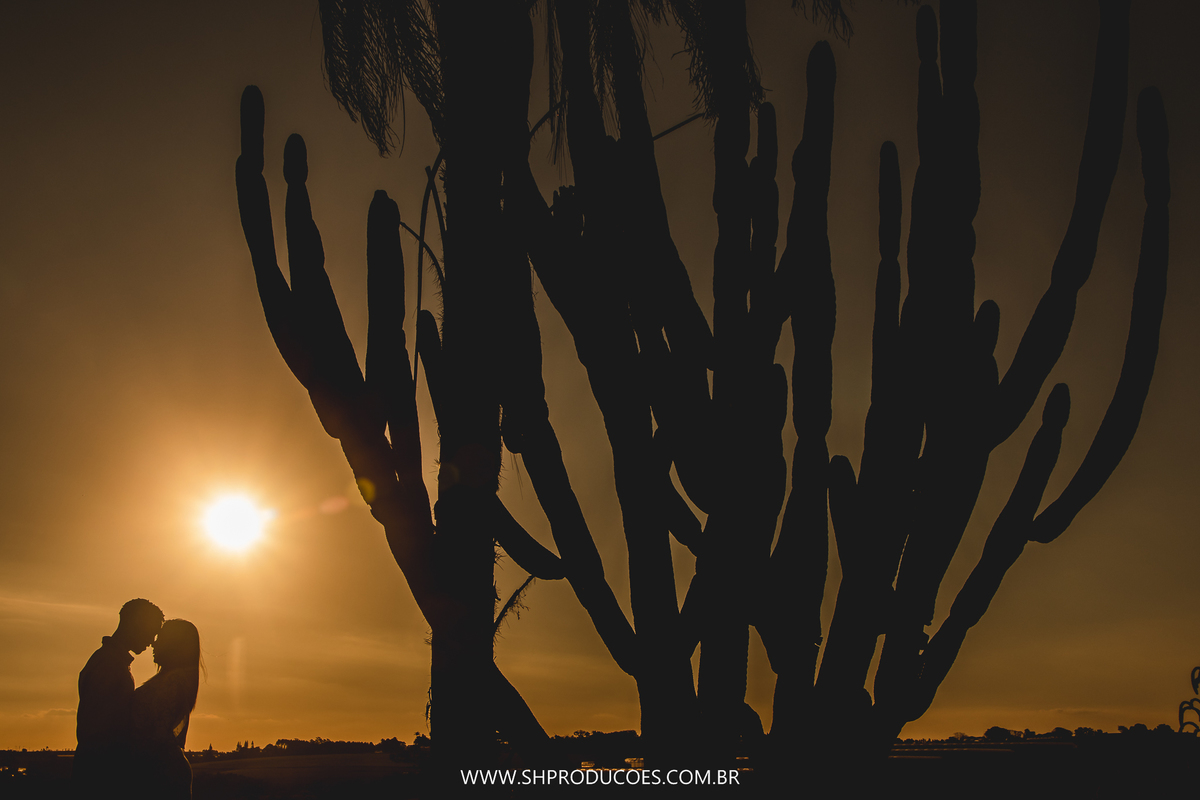 IDEIA PARA FOTOGRAFAR EM HOLAMBRA