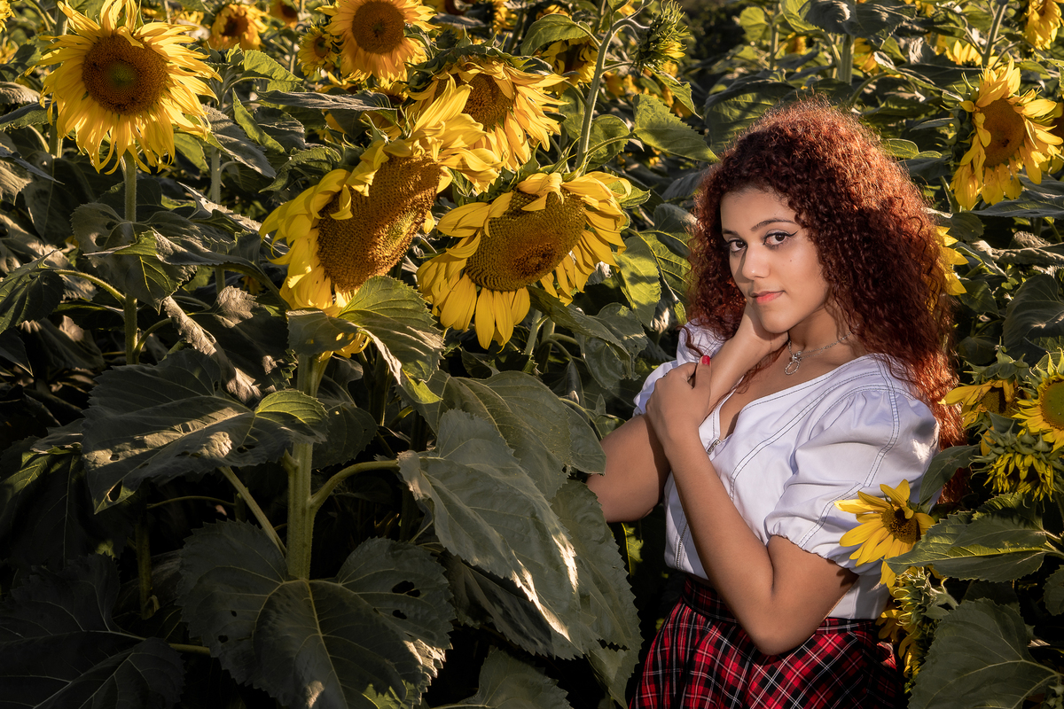 Ensaio de Debutante Girasol