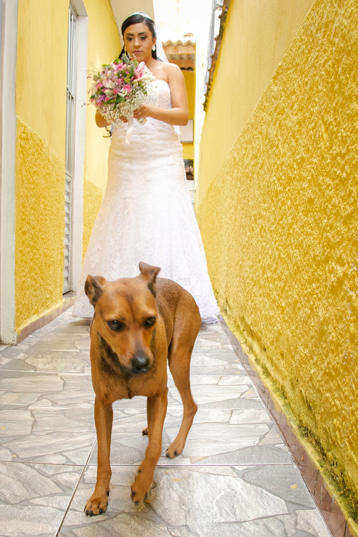 Casamento econômico, na cidade de Poá São Paulo, fotografo de casamento Daniel Moura e Patty Moura da Clique a Dois fotografia, Noiva com cachorro