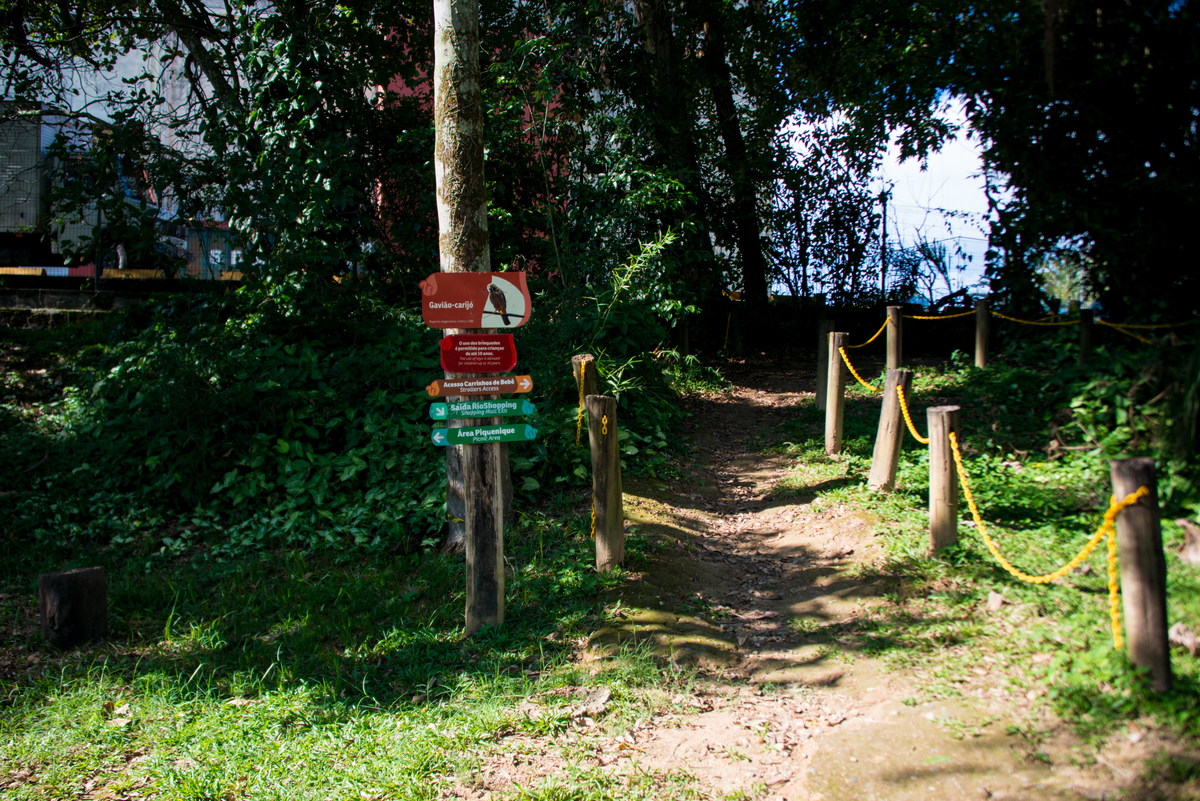 UM TOQUE NO SEU OLHAR ARIANE SCHMITZ TATIANA VIEIRA